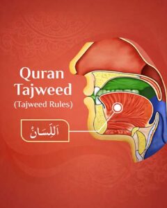 Tajweed Quran